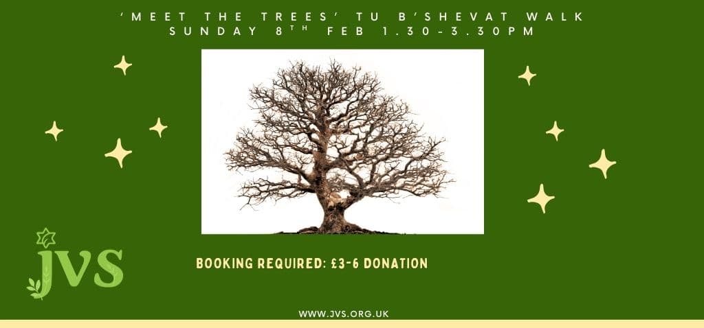 Meet the trees