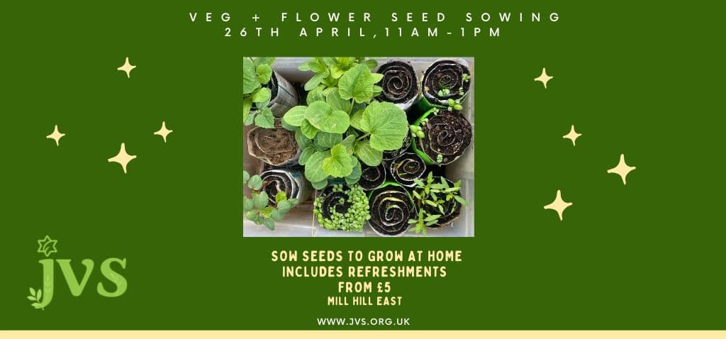 Veg and flower seed sowing