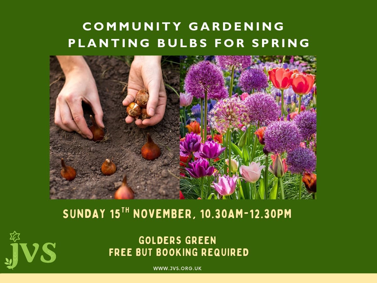 Community Gardening: Planting bulbs for spring